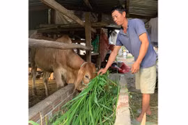 “Vững bước trên con đường hoàn lương”