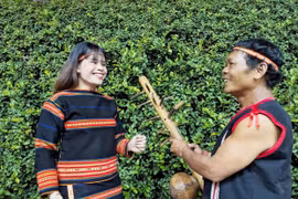 Đóa pơ lang của núi rừng