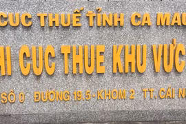Bắt giam Phó Chi cục trưởng Chi cục Thuế khu vực III