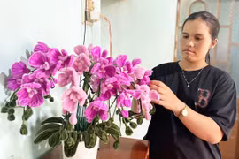 Vươn lên làm giàu nhờ đổi mới tư duy