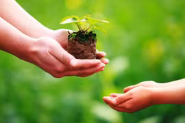 Trao niềm tin, gieo cơ hội