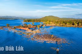 Những quyết sách trên hành trình thế kỷ - Kỳ 2: Chinh phục năng lượng từ… đất trời