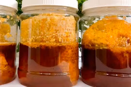 Cùng anh trai 7 tuổi uống 1/3 chai rượu ngâm mật ong, bé gái hơn 3 tuổi bị ngộ độc