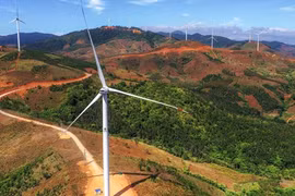 Đề nghị thanh tra toàn diện điện gió Tân Tấn Nhật - Đăk Glei