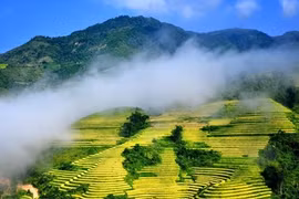 Khai mạc Tuần Văn hóa Du lịch chào mừng 120 năm du lịch Sa Pa