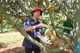 Phải “tỉnh” để “nhìn xa”