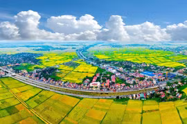 Gồm 30 thành viên trong Hội đồng điều phối vùng Đồng bằng sông Hồng