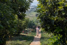 Farmstay: Hướng đi tiềm năng của du lịch nông nghiệp, nông thôn