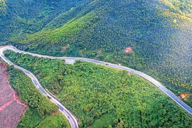 Nhớ người giao liên gan dạ Phan Văn Thám