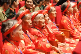 “Một nửa bông hồng” 