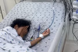 Sốc phản vệ nguy kịch sau khi bị ong vò vẽ đốt hơn 50 vết