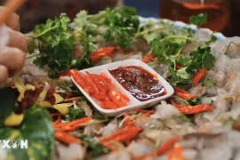 Ẩm thực và văn học Việt Nam thu hút du khách Pháp