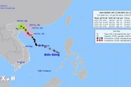 Đêm 22/7, bão số 2 đổ bộ trực tiếp vào khu vực vịnh Bắc Bộ