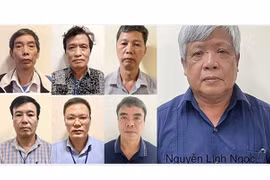 Khởi tố cựu Thứ trưởng Bộ Tài nguyên và Môi trường cùng 6 bị can khác