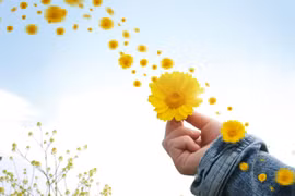 Để tâm hồn nở hoa 