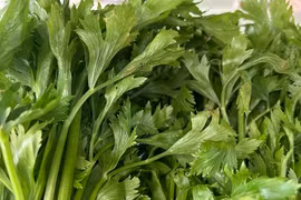 Cần tây có nhiều lợi ích nhưng cần lưu ý gì khi sử dụng?