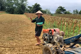 Ám ảnh làng "trời đánh" 