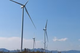 Nhiều sai phạm ở các dự án điện gió Gia Lai