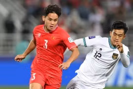 Nhận định bóng đá Indonesia vs Việt Nam: HLV Troussier không được thua