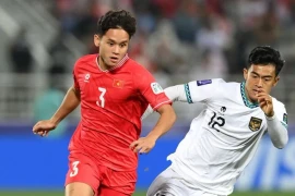 Nhận định bóng đá Indonesia vs Việt Nam: HLV Troussier không được thua