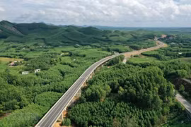 Đầu tư dự án giao thông kết nối 3 tỉnh Lâm Đông-Khánh Hòa-Ninh Thuận