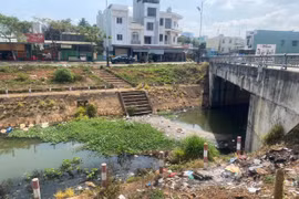 Cần ngăn chặn tình trạng xả rác tại đường bờ kè suối Hội Phú 