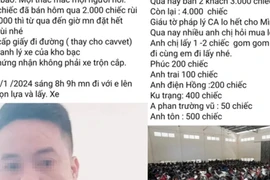 Lý do người đàn ông bị phạt khi đăng thông tin bán '7000 xe tang vật'