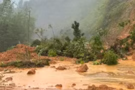 Vụ xe 16 bị sạt lở đất đẩy xuống suối: Tìm thấy 4 thi thể, 1 người bị thương