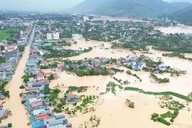 Thứ trưởng Bộ Nông nghiệp: 'Lũ tại miền Bắc đang rất căng'