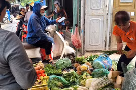 Giá rau xanh ở chợ tăng tới 20% sau bão
