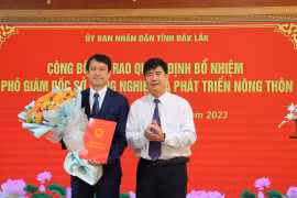 Bổ nhiệm nhân sự Hà Nội, Cần Thơ, Đắk Lắk 