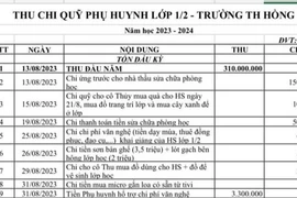 Thanh tra Bộ GD-ĐT nói gì về lạm thu, hoạt động liên kết trong trường học?