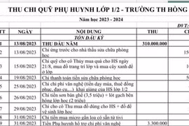 Thanh tra Bộ GD-ĐT nói gì về lạm thu, hoạt động liên kết trong trường học?