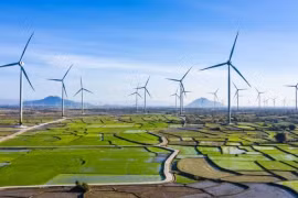 Chính phủ thành lập Ban Chỉ đạo Nhà nước các dự án trọng điểm ngành năng lượng