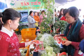 Lâm Đồng có 3 đơn vị đạt danh hiệu “Ngôi sao Hợp tác xã năm 2024”