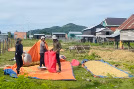 An cư cho người dân vùng sạt lở bờ sông Ba: Giấc mơ thành hiện thực