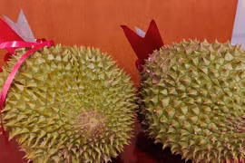 Giá sầu riêng biến động mạnh hơn thị trường chứng khoán