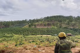 Bảo Lâm: Thành lập 3 đoàn kiểm tra toàn diện các dự án đầu tư liên quan đến đất rừng