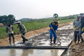 Phó Thủ tướng Lê Minh Khái ký quyết định tổ chức Tổng điều tra nông thôn, nông nghiệp năm 2025