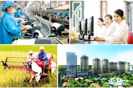 Thủ tướng Chính phủ ban hành Hệ thống chỉ tiêu thống kê cấp tỉnh, cấp huyện, cấp xã 