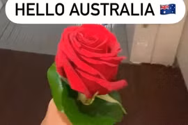 Bị phạt 1.200 USD chỉ vì mang một bông hồng vào sân bay