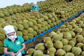 Xây dựng thương hiệu xuất khẩu