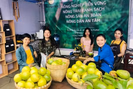 “Gỡ khó” cho farmstay