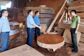 Gia tăng tình trạng xâm phạm tài nguyên rừng trên địa bàn Gia Lai