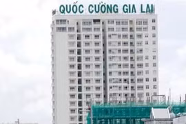 Quốc Cường Gia Lai muốn bán 2 nhà máy thủy điện để trả tiền vụ Trương Mỹ Lan