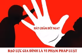 Triển khai thi hành Luật Phòng, chống bạo lực gia đình