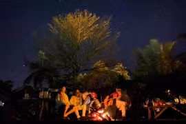 Đêm bình yên ngắm đom đóm bay