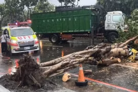 Siêu bão Gaemi khiến các nhà khí tượng ngạc nhiên, quần thảo Đài Loan (Trung Quốc)