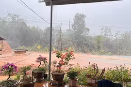 Cơn mưa đầu mùa giúp vùng hạn Kon Tum giải nhiệt