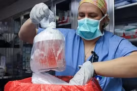 Ca ghép thận lợn cho người đầu tiên trên thế giới